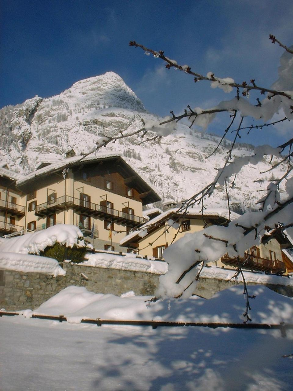 Hotel Ottoz Meuble Courmayeur Eksteriør bilde